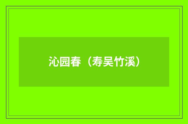 沁园春(寿吴竹溪)