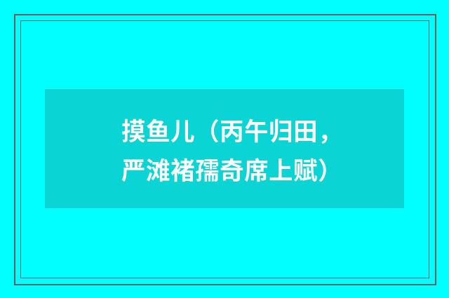 摸鱼儿（丙午归田，严滩褚孺奇席上赋）