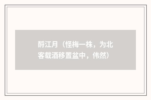 酹江月（怪梅一株，为北客载酒移置盆中，伟然）