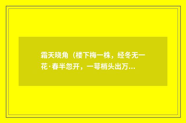 霜天晓角（楼下梅一株，经冬无一花·春半忽开，一萼梢头出万红中因赋之）