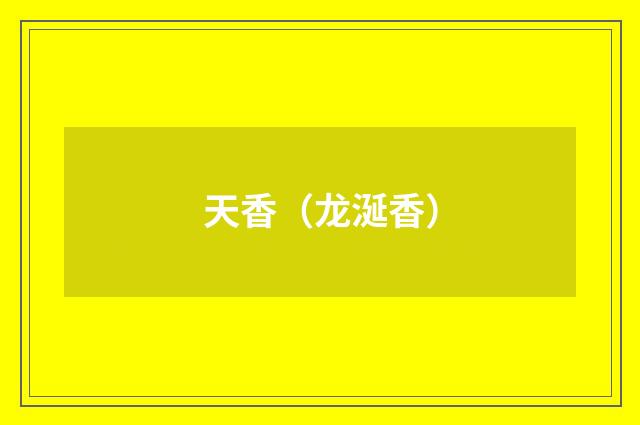 天香（龙涎香）