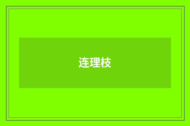 连理枝