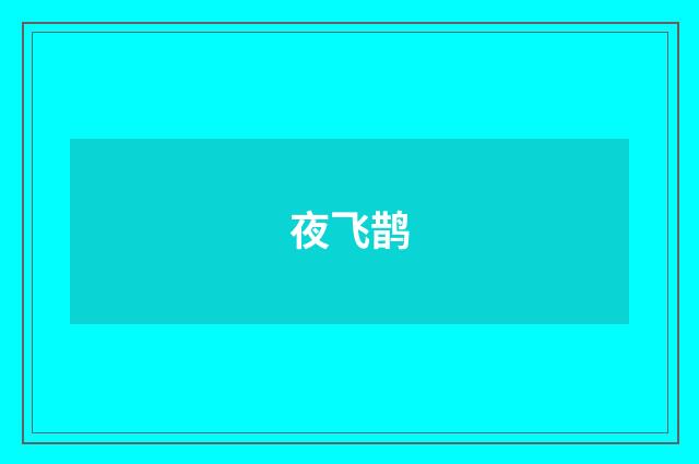 夜飞鹊