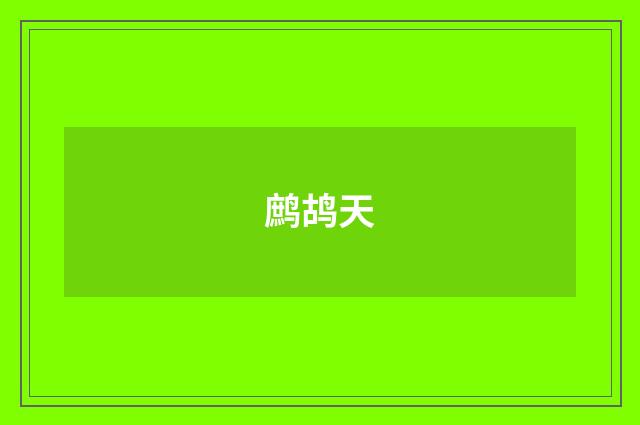 鹧鸪天
