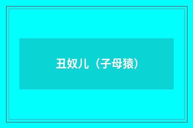 丑奴儿（子母猿）