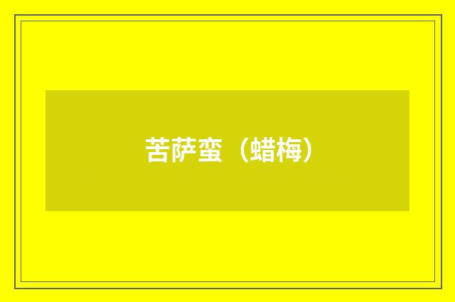 苦萨蛮（蜡梅）