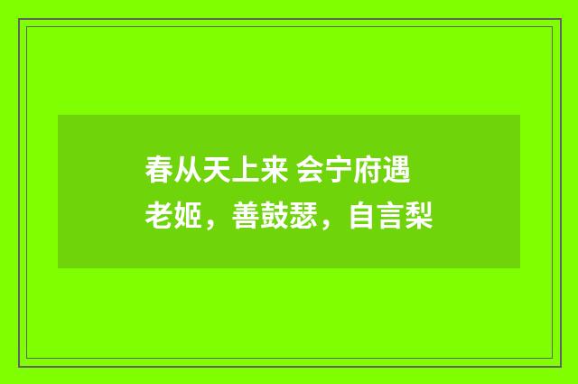 春从天上来 会宁府遇老姬，善鼓瑟，自言梨