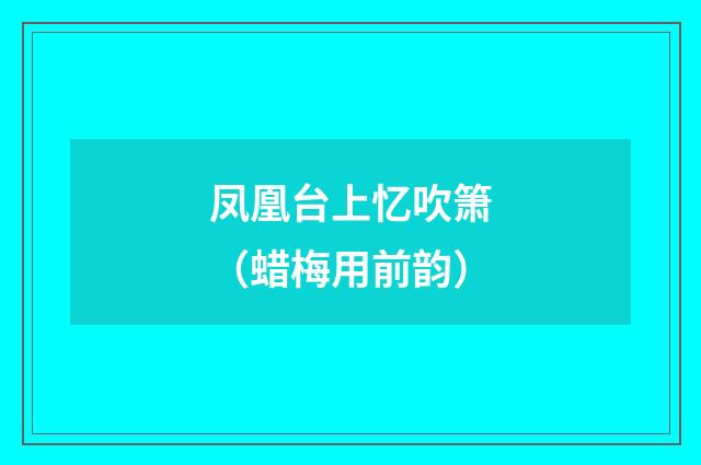 凤凰台上忆吹箫（蜡梅用前韵）