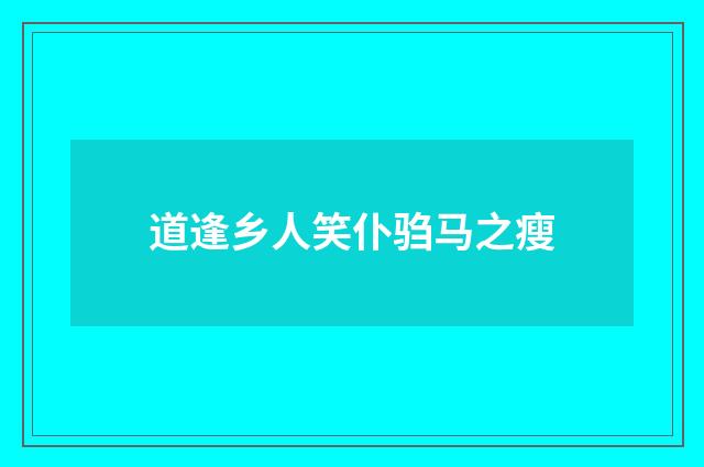 道逢乡人笑仆驺马之瘦