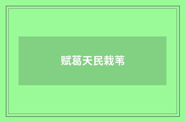 赋葛天民栽苇