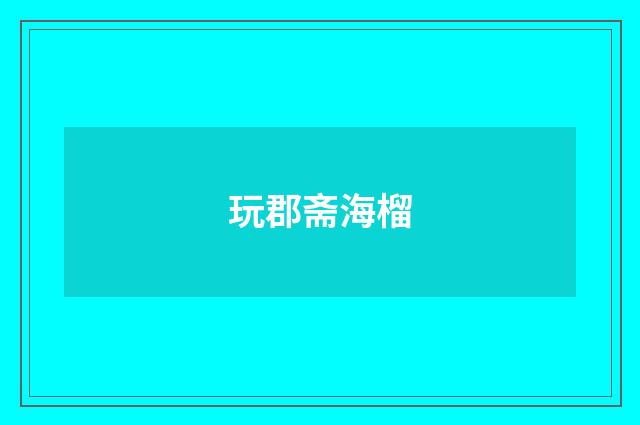 玩郡斋海榴