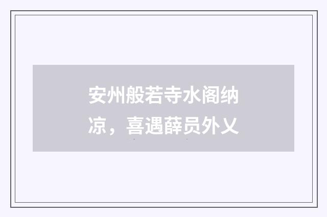安州般若寺水阁纳凉,喜遇薛员外乂