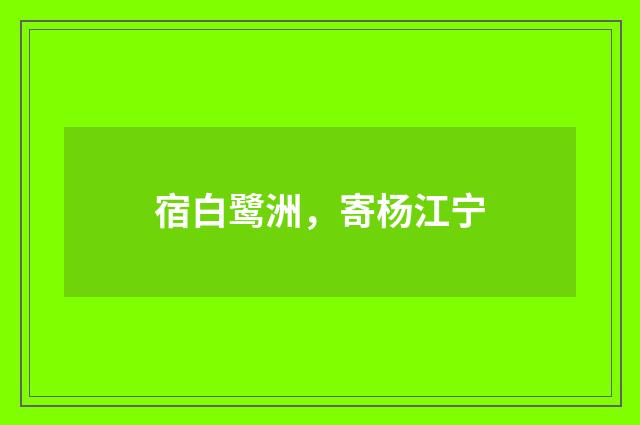 宿白鹭洲,寄杨江宁