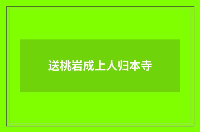 送桃岩成上人归本寺