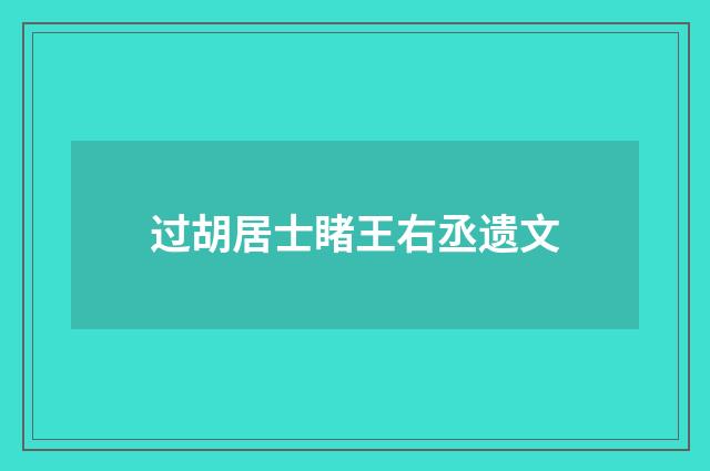 过胡居士睹王右丞遗文