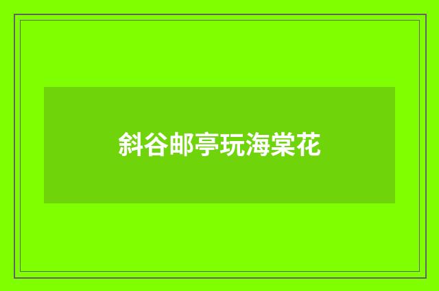 斜谷邮亭玩海棠花