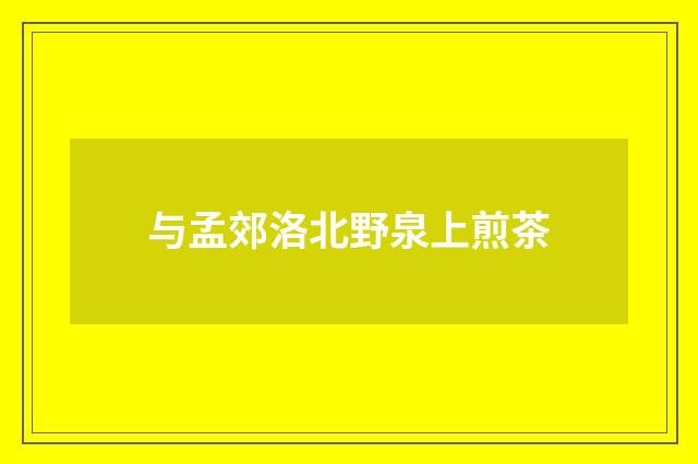 与孟郊洛北野泉上煎茶