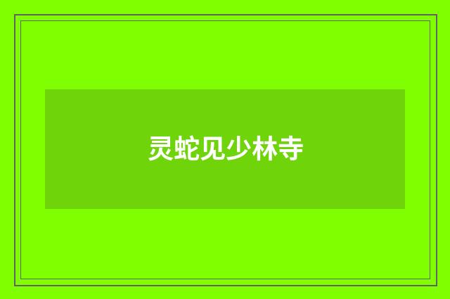 灵蛇见少林寺