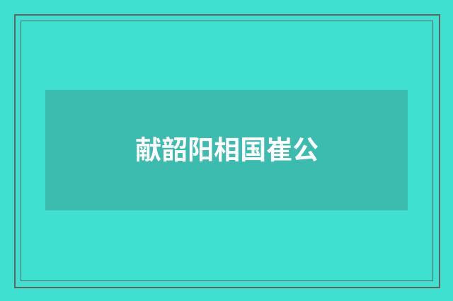 献韶阳相国崔公