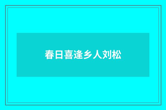 春日喜逢乡人刘松