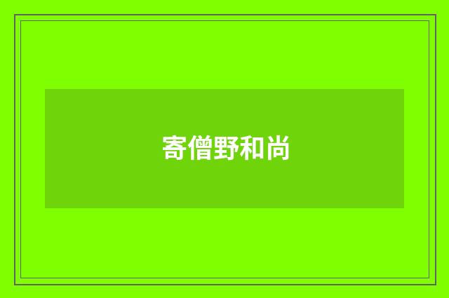 寄僧野和尚