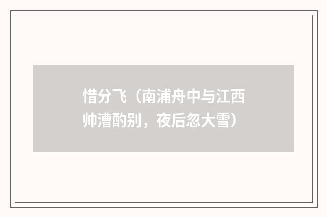 惜分飞（南浦舟中与江西帅漕酌别，夜后忽大雪）