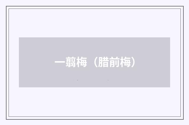 一翦梅（腊前梅）