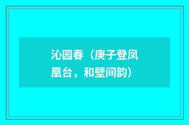 沁园春（庚子登凤凰台，和壁间韵）