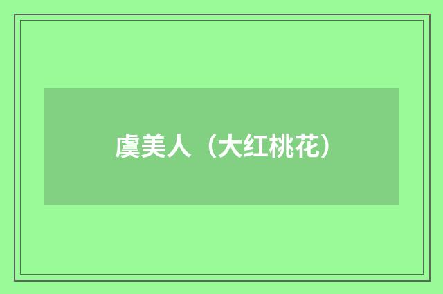 虞美人（大红桃花）