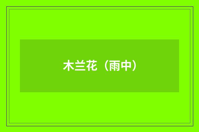 木兰花（雨中）