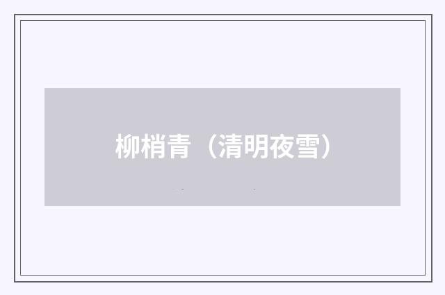 柳梢青（清明夜雪）