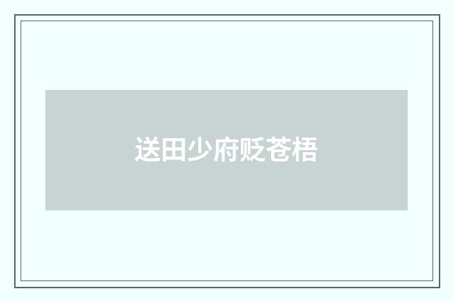 送田少府贬苍梧