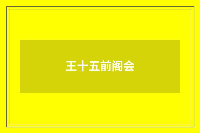 王十五前阁会