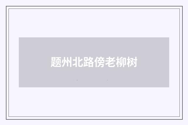 题州北路傍老柳树