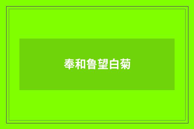 奉和鲁望白菊