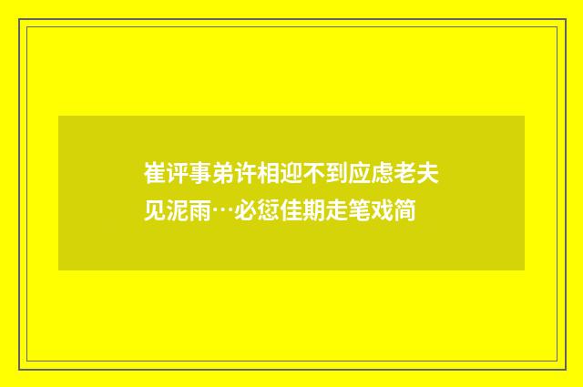 崔评事弟许相迎不到应虑老夫见泥雨…必愆佳期走笔戏简