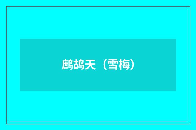 鹧鸪天（雪梅）