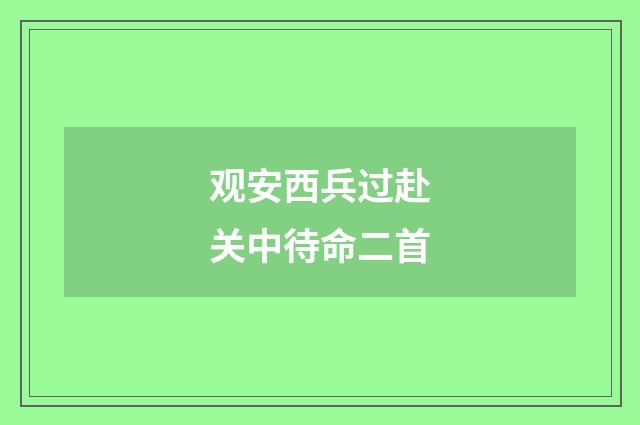 观安西兵过赴关中待命二首