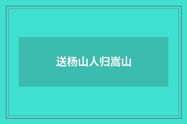 送杨山人归嵩山