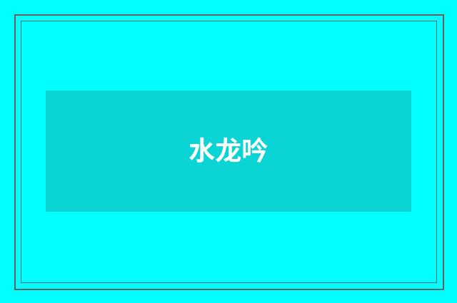 水龙吟