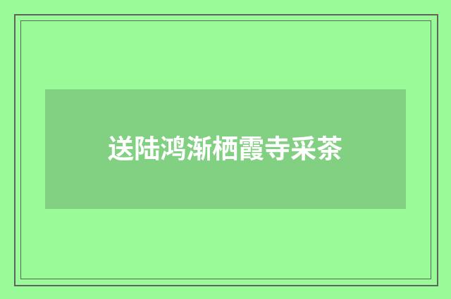 送陆鸿渐栖霞寺采茶