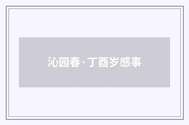 沁园春·丁酉岁感事