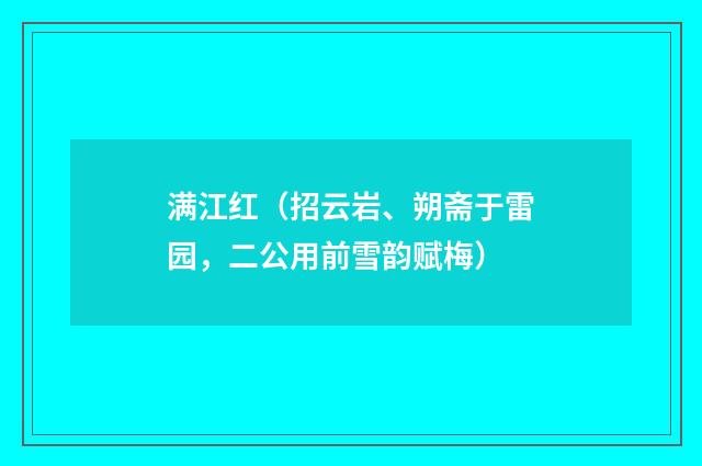 满江红（招云岩、朔斋于雷园，二公用前雪韵赋梅）