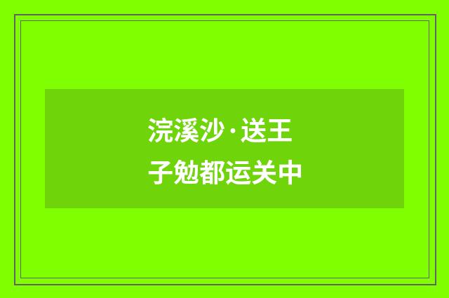 浣溪沙·送王子勉都运关中