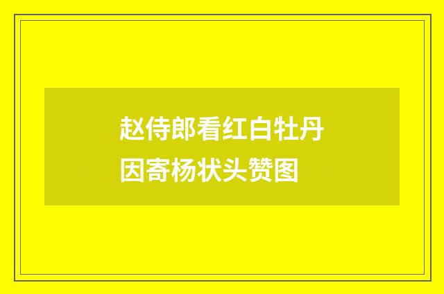 赵侍郎看红白牡丹因寄杨状头赞图