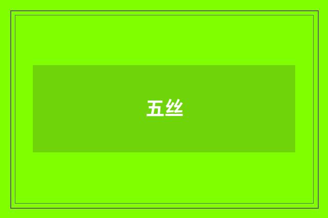 五丝