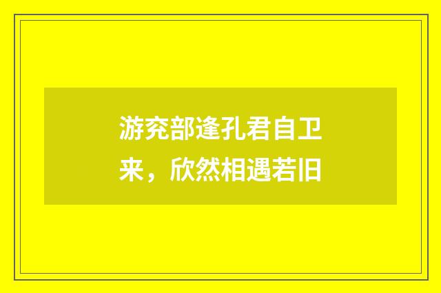 游兖部逢孔君自卫来,欣然相遇若旧