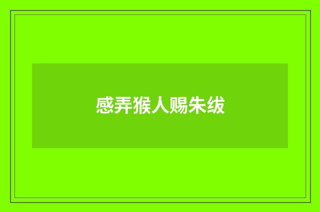 感弄猴人赐朱绂
