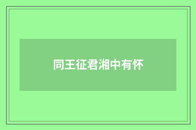 同王征君湘中有怀