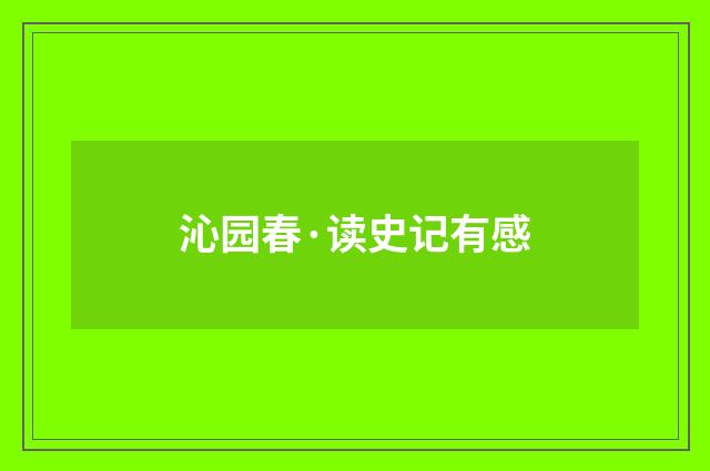 沁园春·读史记有感